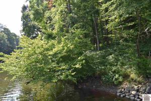 Lot 129 Crystal Creek Circle