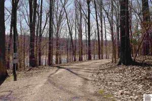 Lot 20E Raven Court