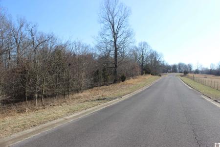 000 Palmer Dr - Lot 51
