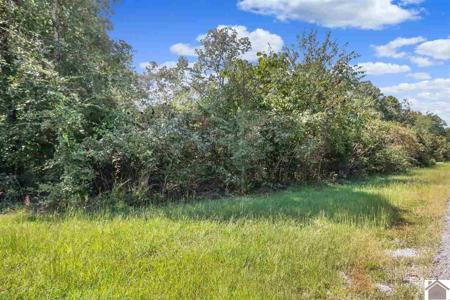 Lot #90 Pelican Lane