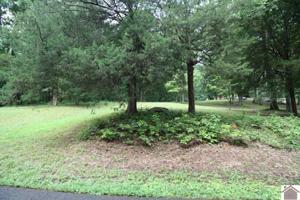 19A/20A Solomon Drive