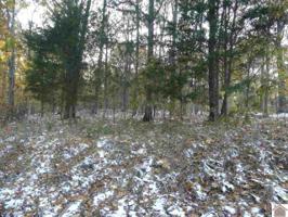 357 Waterway Trail Lot #118)