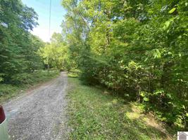 13 Redwood Dr