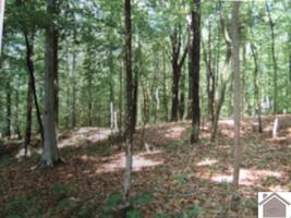 Lot 19 Wheaton Way