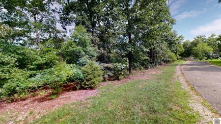 000 Tow Lane - Lot 8