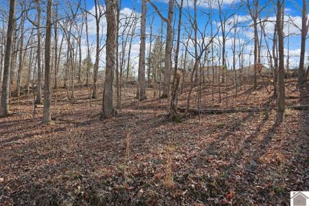 Lot 73 McClure Drive