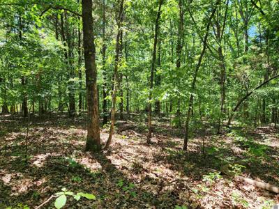 00 Hills Hollow Road, Lot 53