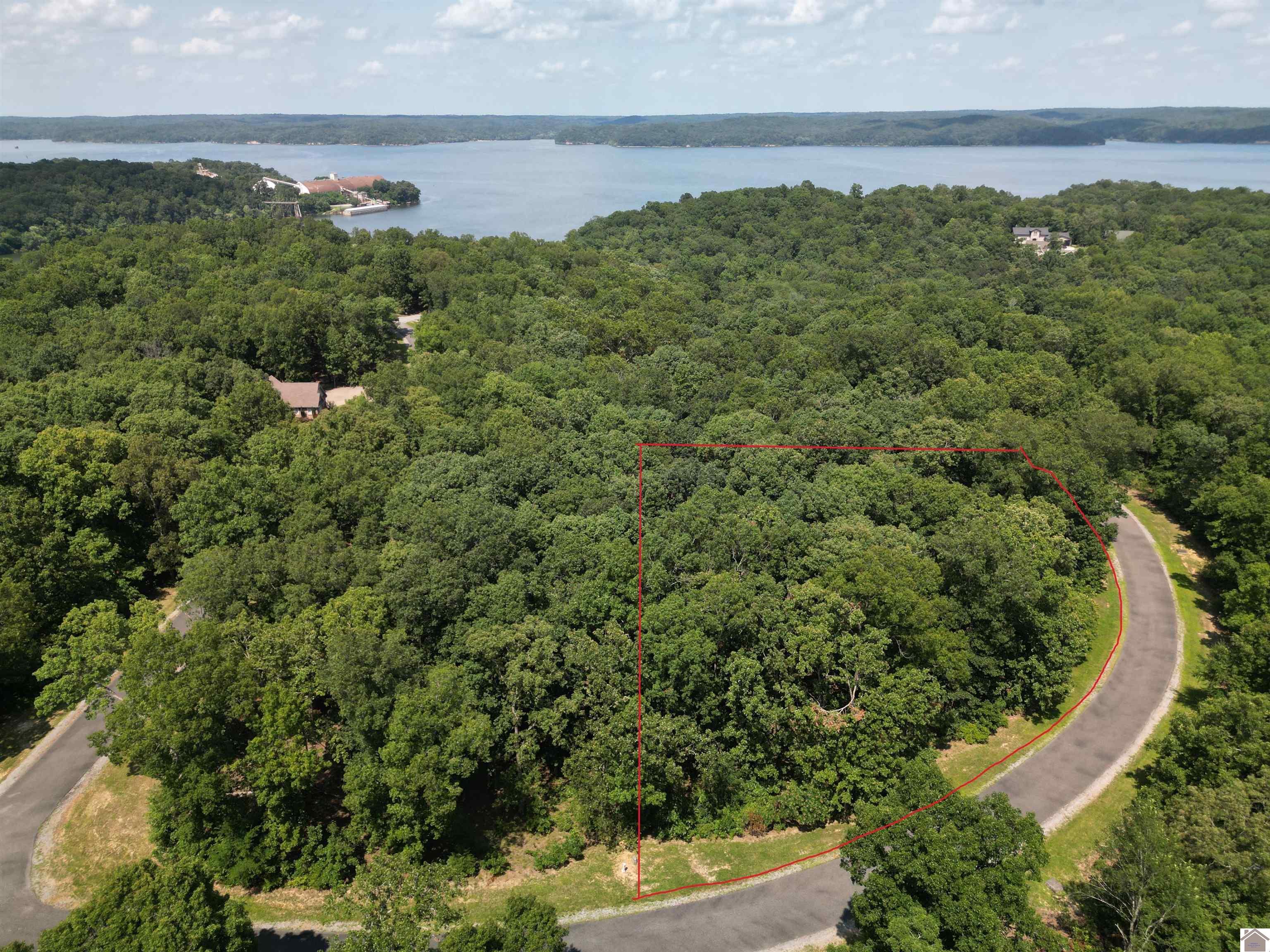 Image 1: Image 1