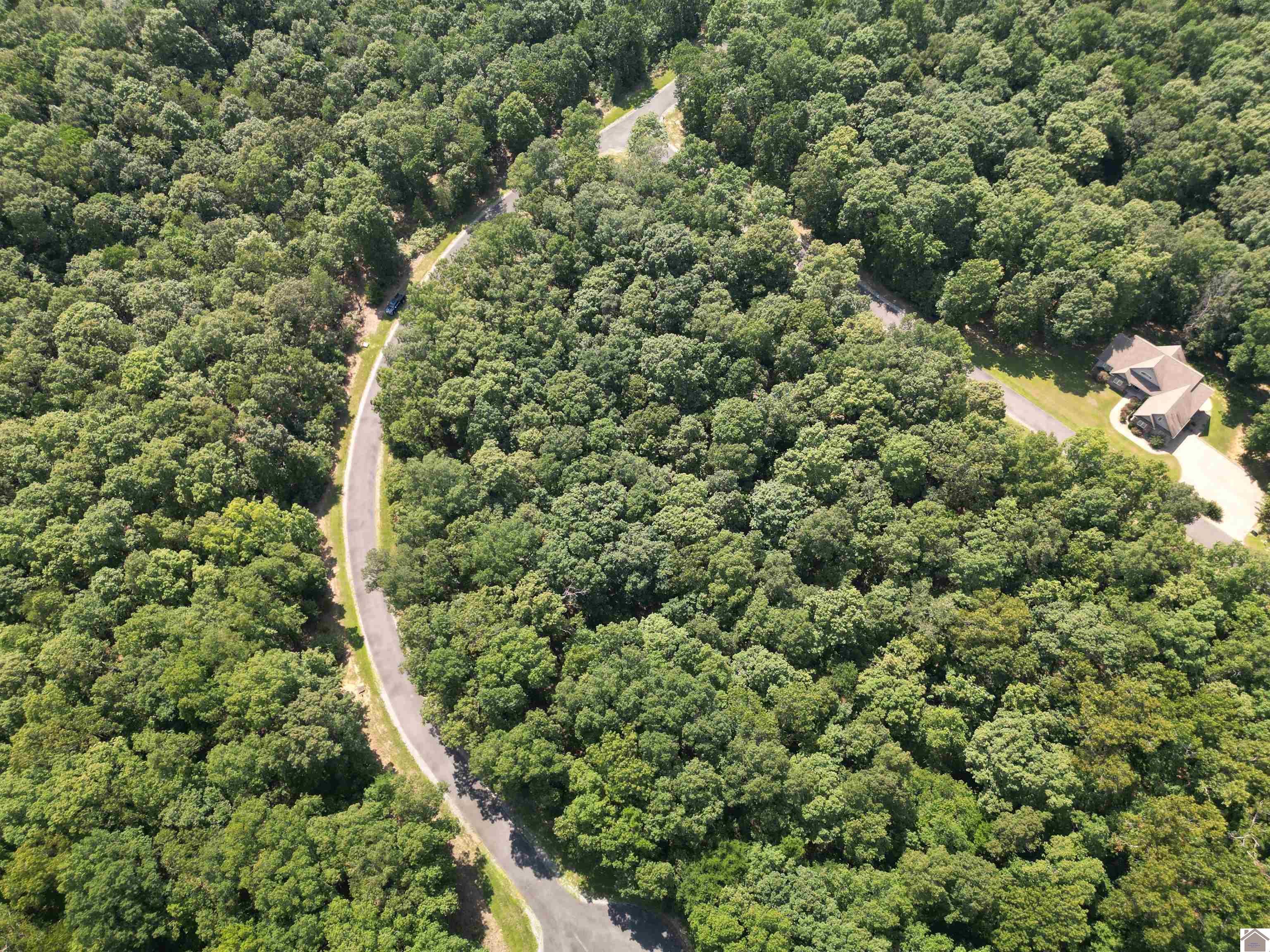 Image 3: Image 3