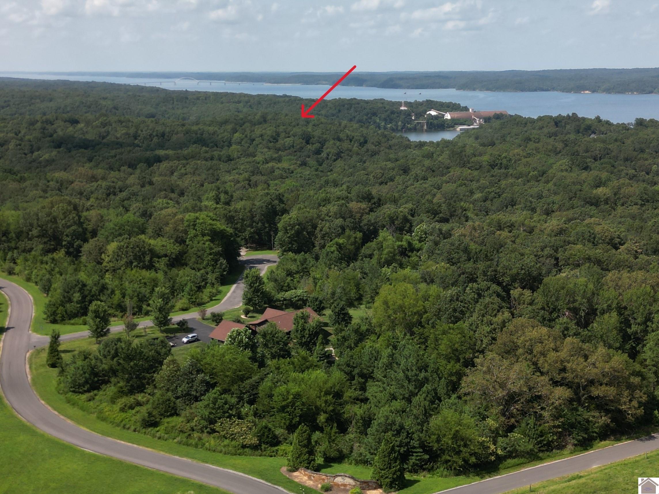 Image 4: Image 4