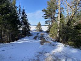 Raven Drive