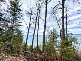 Lot 11 W US-23 Highway