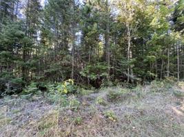 Lot 350 Eagle Lane