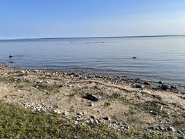 1240 Lofgren Shore Drive