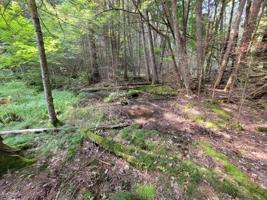 Lot 9 Indian Trail