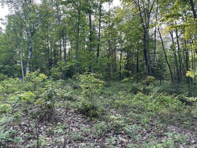 Lot #167 Quapaw Lane