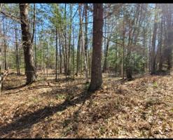 Lot 5-W1/2 Xylem Lane