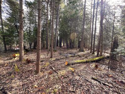 6 Lots Rutherford Road
