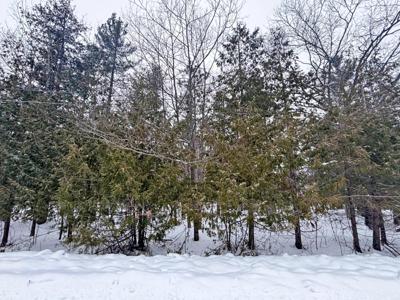 Lot 201 Lakewood Drive