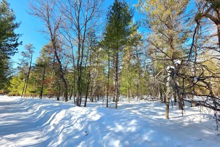 VL 20-29 Monroe Avenue