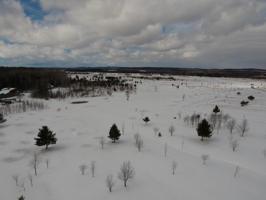 Pickerel Lane