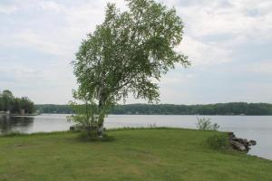 Parrott's Point Road