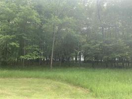LOT 4 E Booth Road