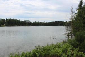 14475 W Shore Line Drive