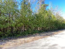 Lakehurst Drive