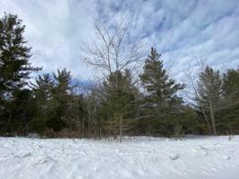 Lot 163 Pineview Drive