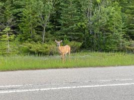 E Grand Lake Road