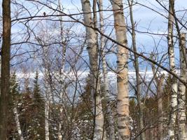 TBD Mackinaw Straits Drive