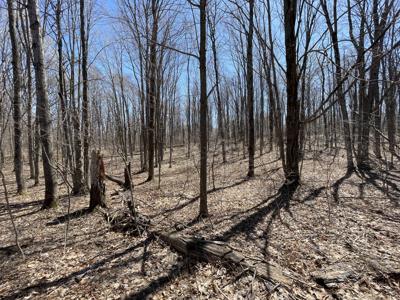 LOT 281 Acacia Drive
