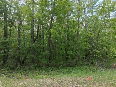 Lot 231 Country Club Drive