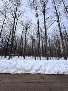 Lot 347 Pine Grove Drive