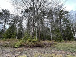 Lot 82 Sprucedale Court