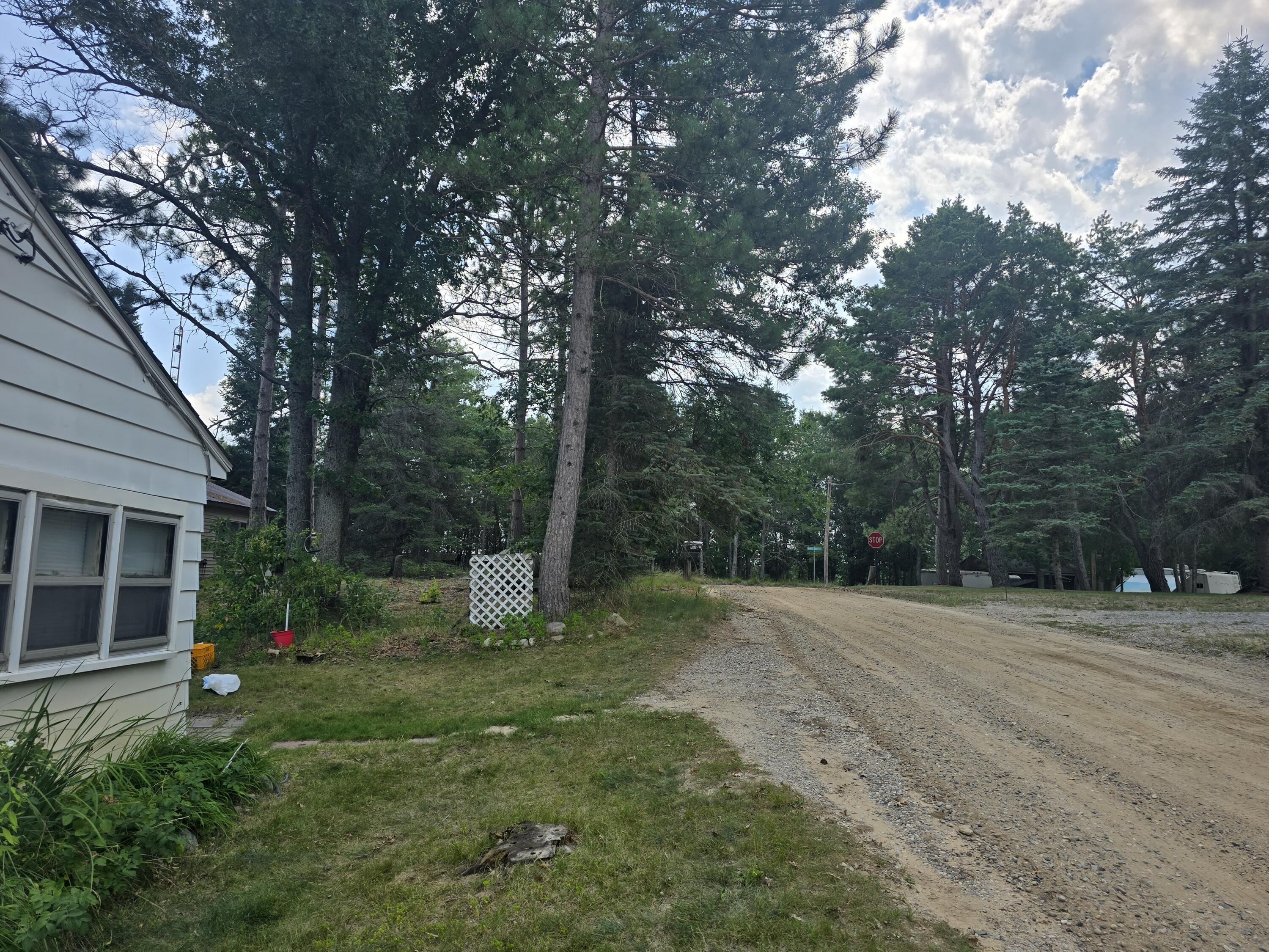 Image 3: 20250807_143626