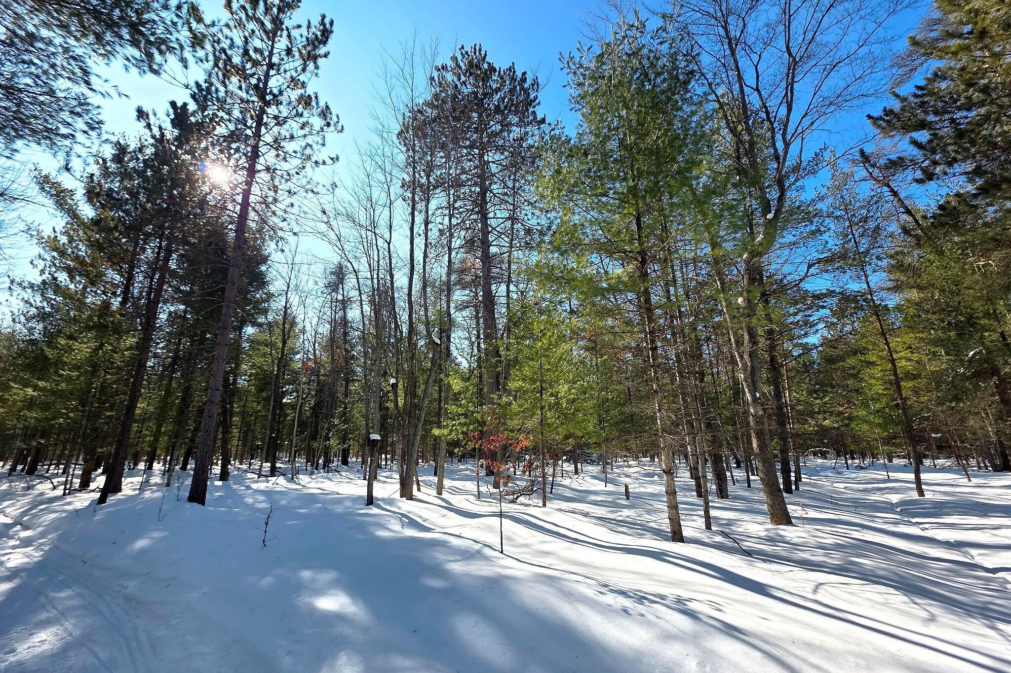 Image 4: Winter