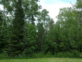 0 Arbutus Drive