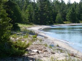 N Point Shores