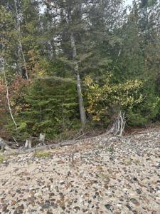 ''C'' Huron Trail