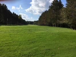 Bent Tree Drive
