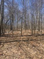 Pheasant Run