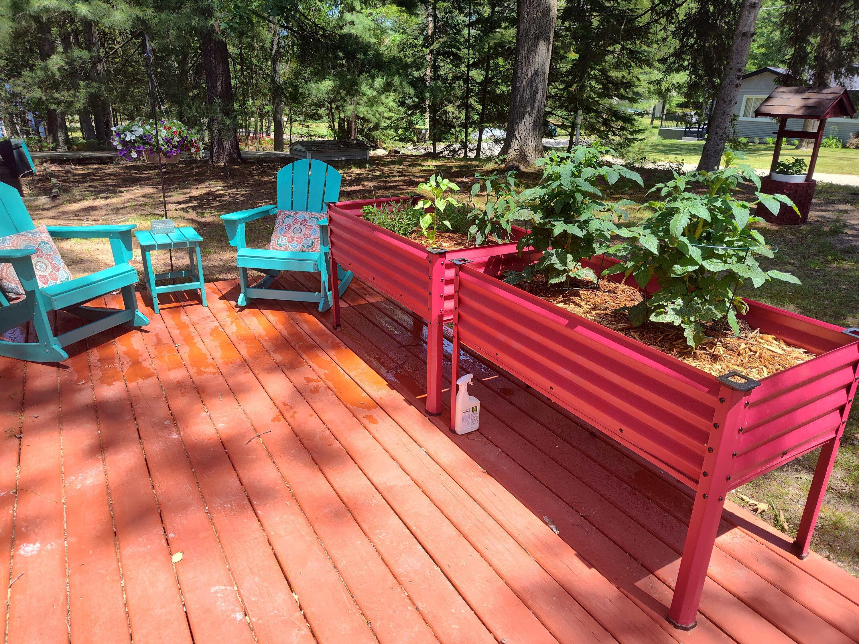 Image 4: IMG_20250623_141621148_HDR