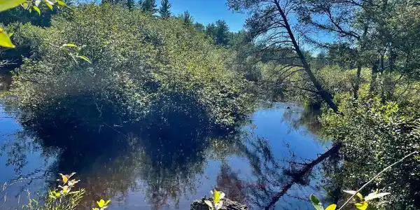 Ausable River Trail