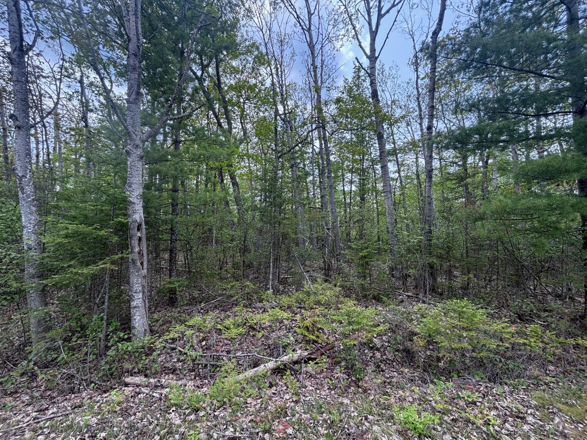 Image 1: 1