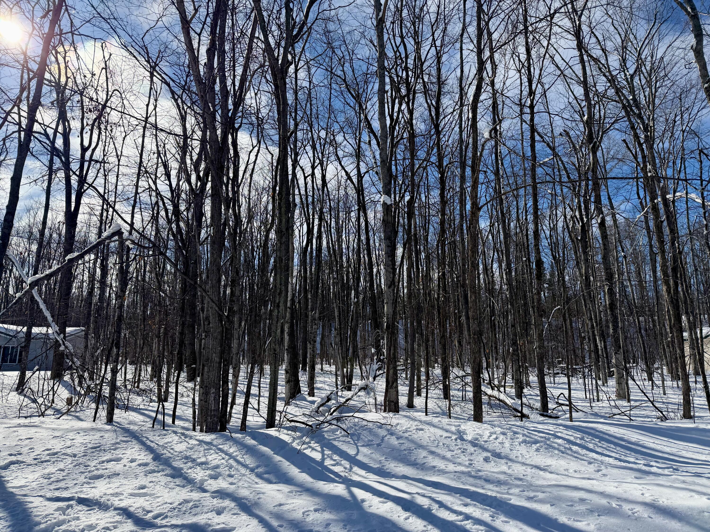 Image 4: IMG_5196
