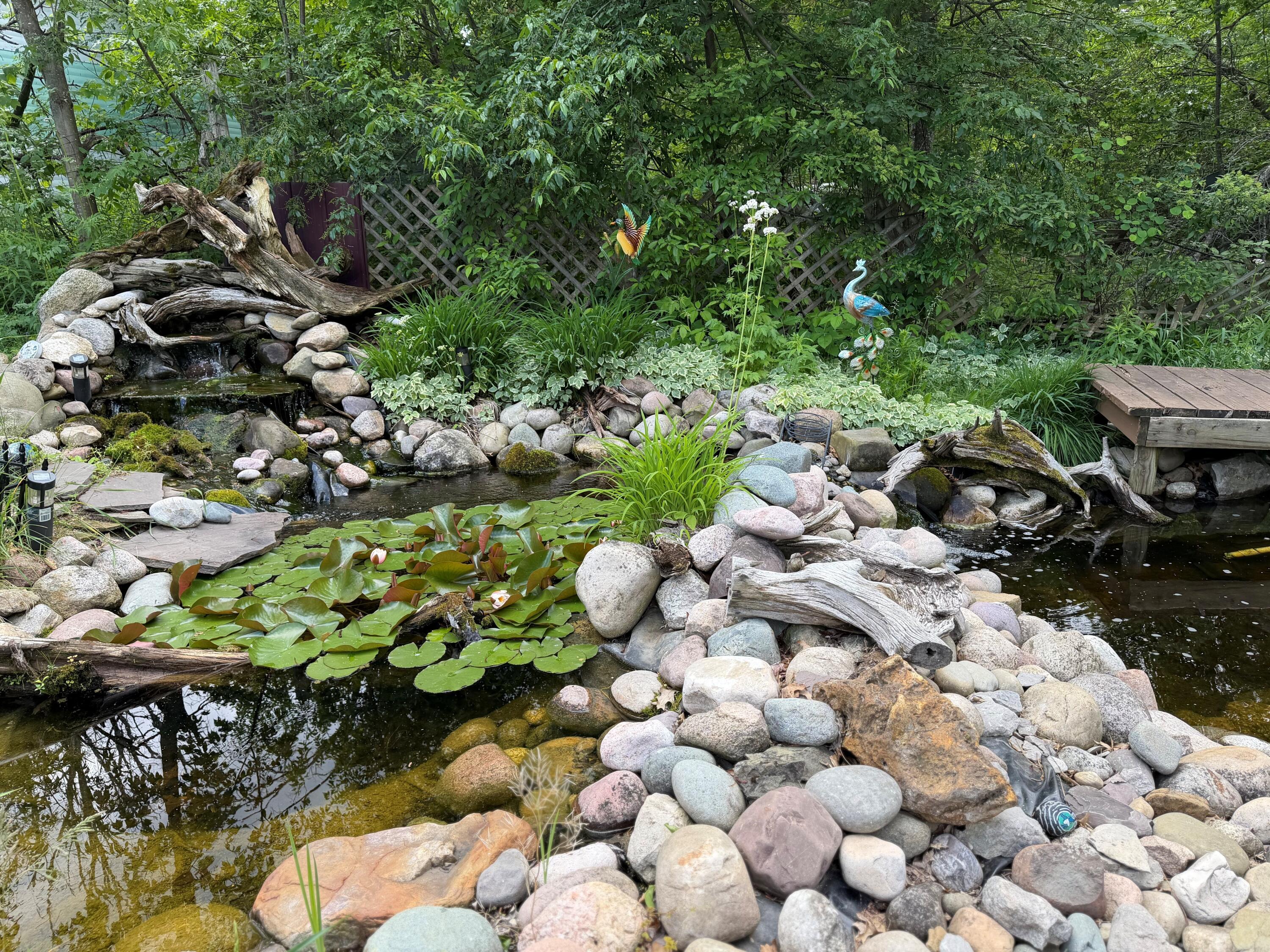 Image 2: Landscape Pond