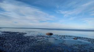 Mackinaw Straits Drive