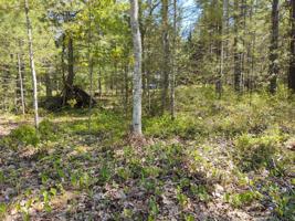LOT 4 Adventure Lane